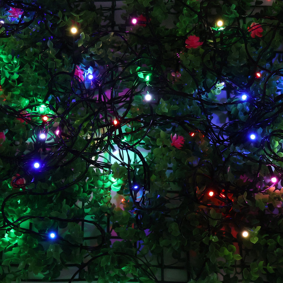 Decorative LED String Fairy Lights